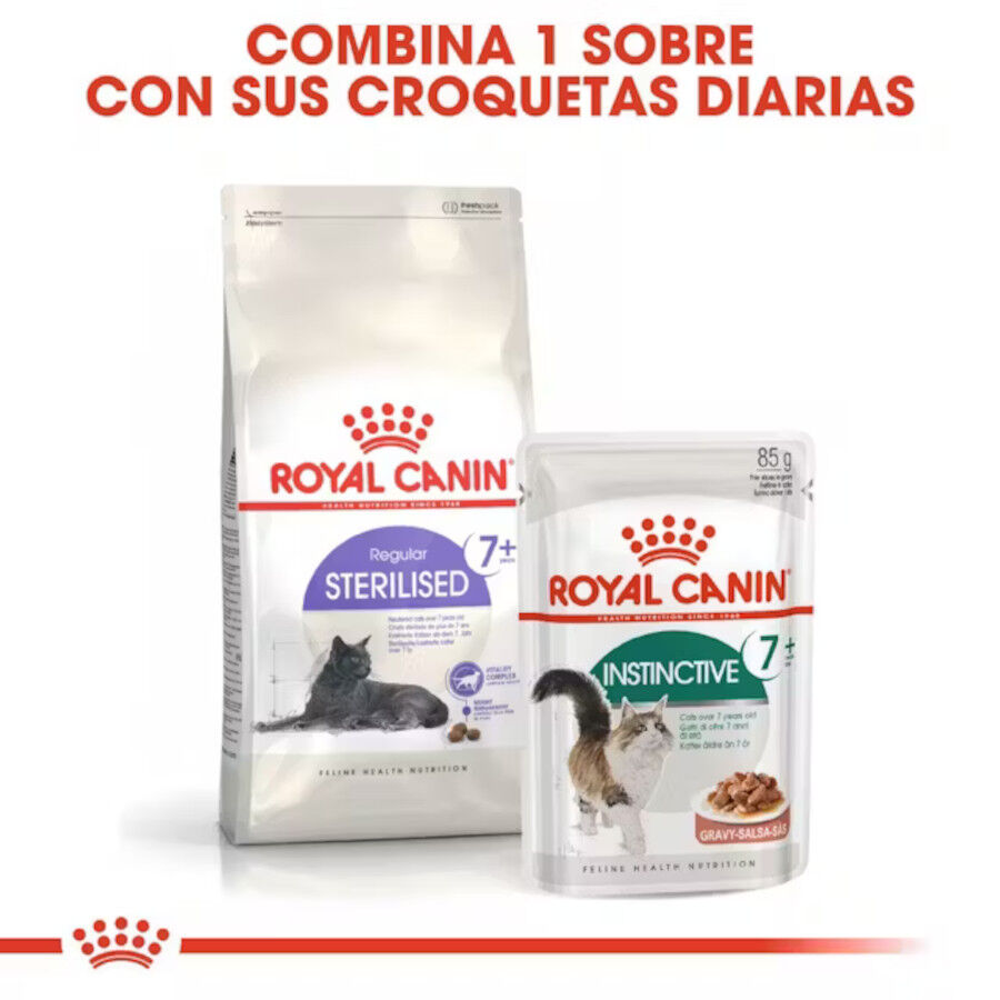 3.5 kg Royal Canin Adult 7+ Regular Sterilised pienso para gatos, , large Imagen numero 7