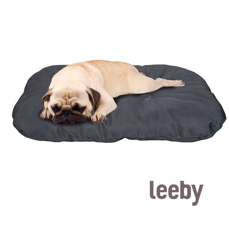 Leeby Coj&iacute;n Ovalado negro para perros, , large indicador imagen numero 2