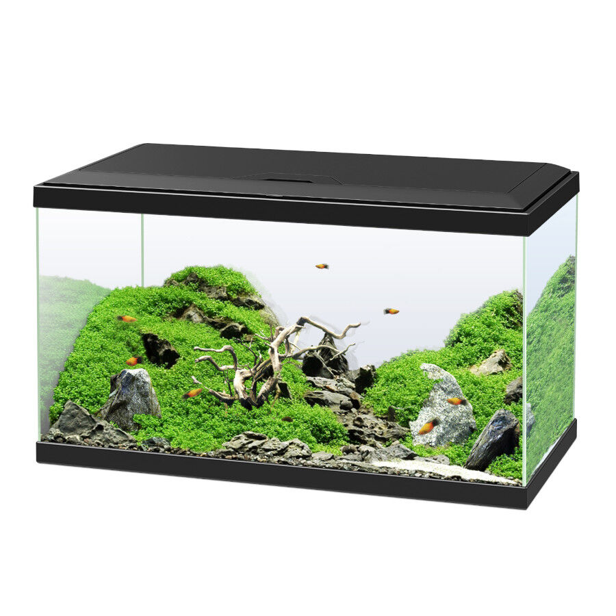 Ciano Aqua Led 60 Negro acuario con luz led, filtro y calentador