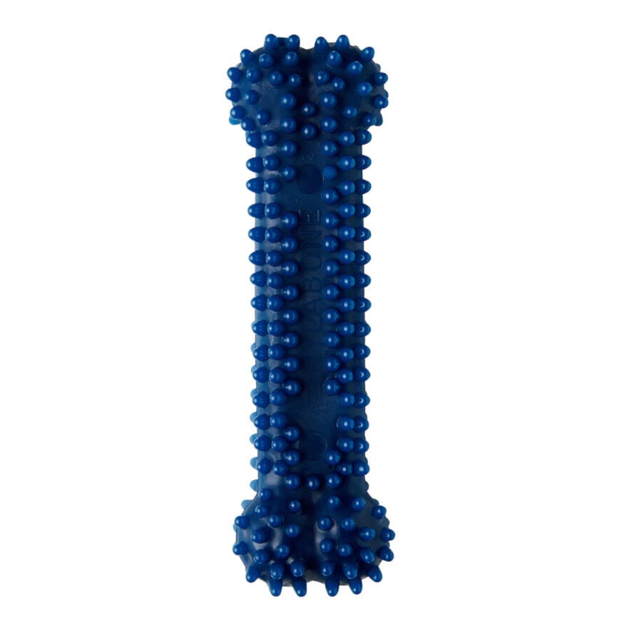 Nylabone Dental Chew Hueso mordedor para perros, , large Imagen numero 1