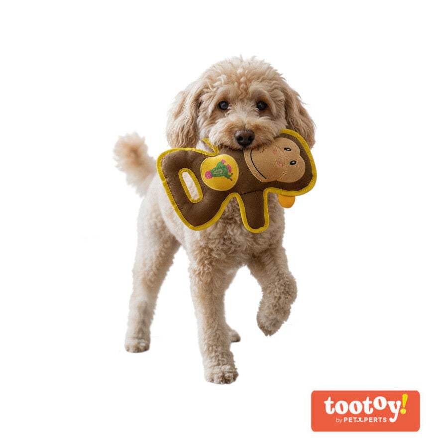 Tootoy! Mono Mordedor de Peluche Resistente para perros, , large indicador imagen numero 1