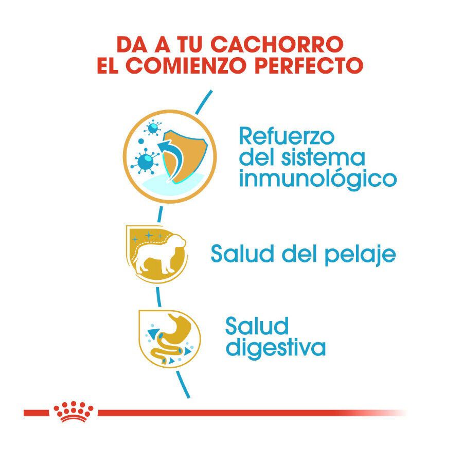 7.5 kg Royal Canin Puppy Yorkshire Terrier pienso para perros, , large indicador imagen numero 5