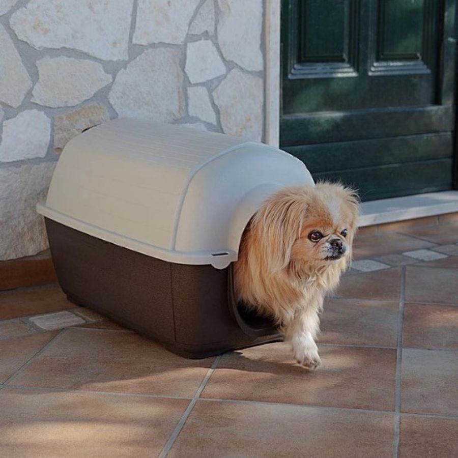 Ferplast Kenny Caseta de Pl&aacute;stico Marr&oacute;n para perros, , large indicador imagen numero 1