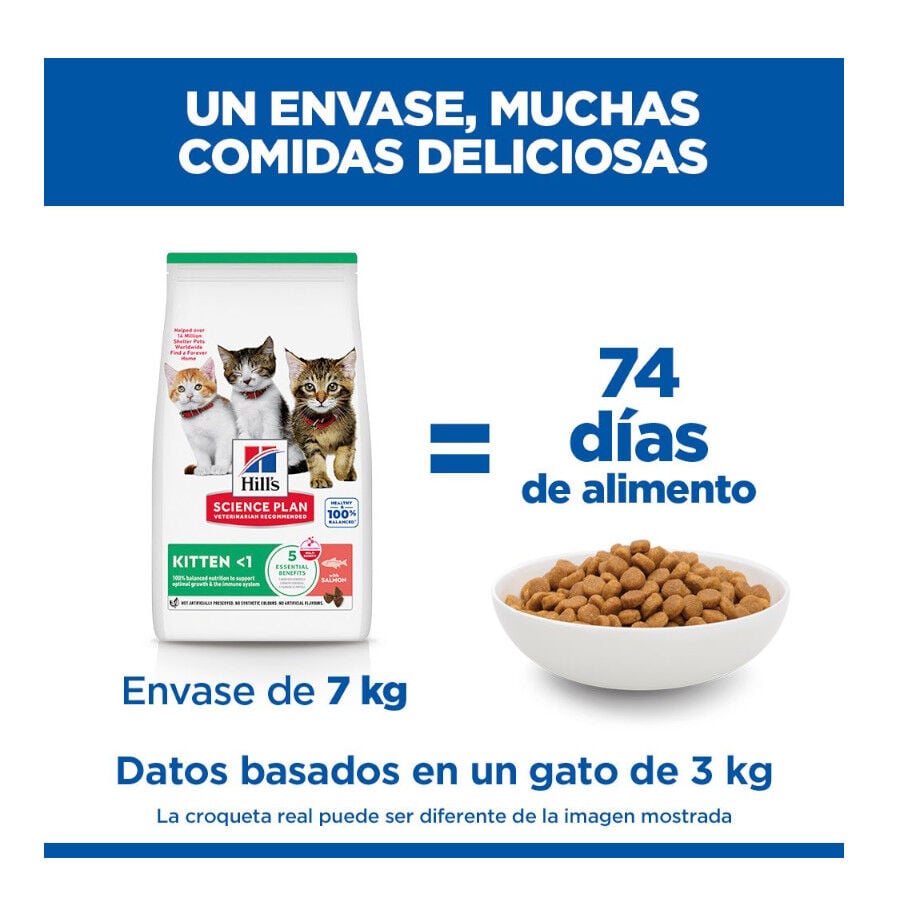 1.5 kg Hill's Science Plan Pienso Salm&oacute;n para gatitos, , large indicador imagen numero 5