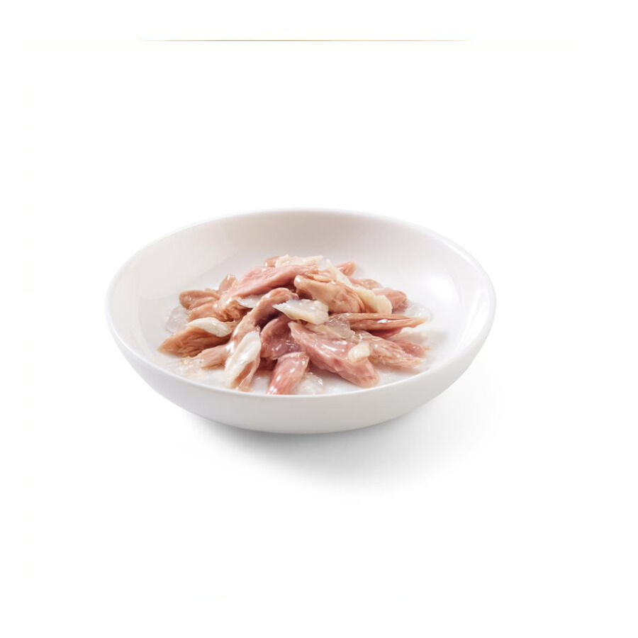 85 g Schesir Adult At&uacute;n y Dorada sobre para gatos, , large Imagen numero 2