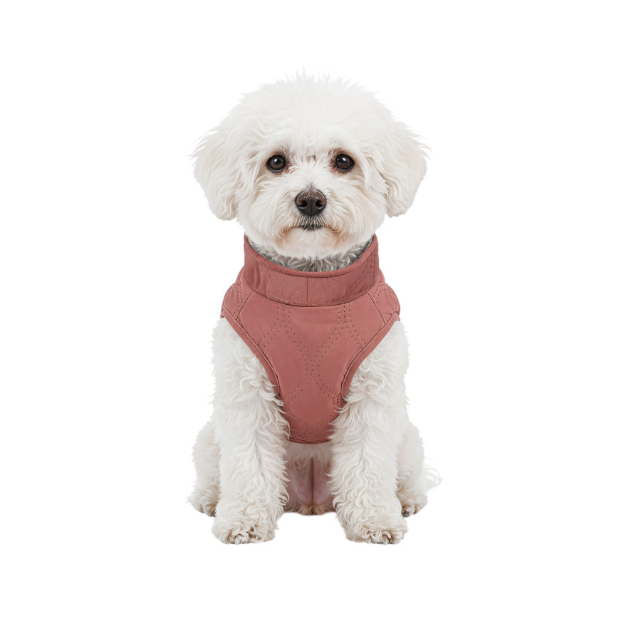 Gotoo Chaqueta Rosa para perros, , large indicador imagen numero 7