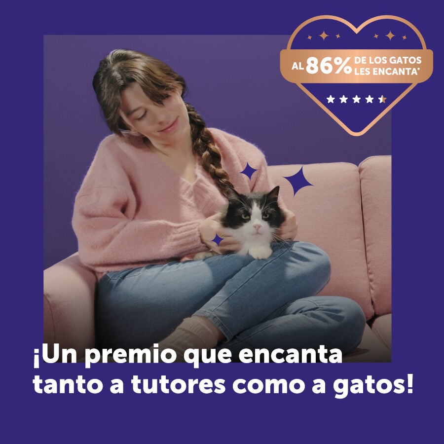 24 barritas Feliway Ceva Happy Snack Salm&oacute;n para gatos, , large indicador imagen numero 8