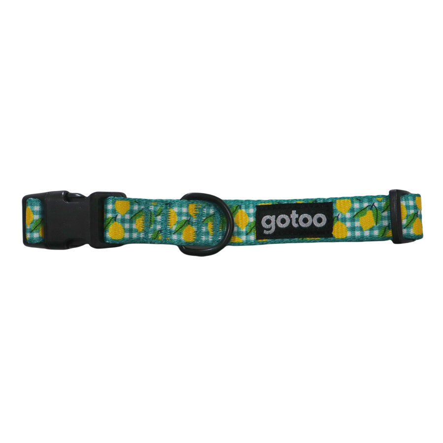 Gotoo Collar cuadro vichy amarillo para perro, , large indicador imagen numero 1