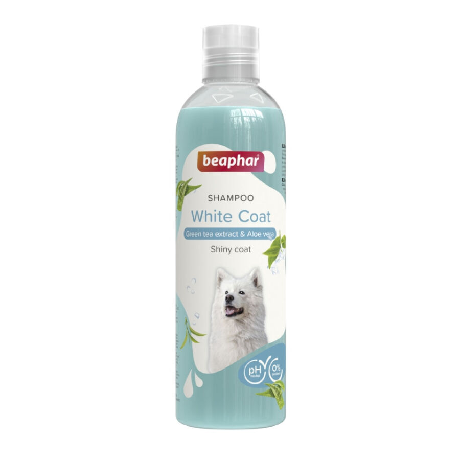 Beaphar Pelo Blanco Champ&uacute; para perros