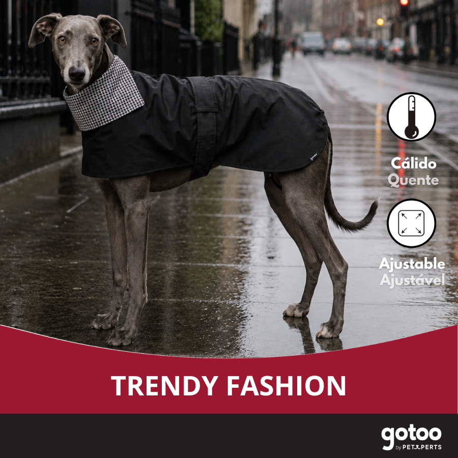 Gotoo Abrigo Gabardina para galgos, , large indicador imagen numero 6