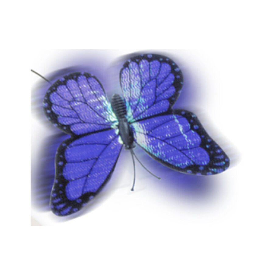 Tootoy! Mariposa Se&ntilde;uelo Interactiva para gatos, , large indicador imagen numero 3