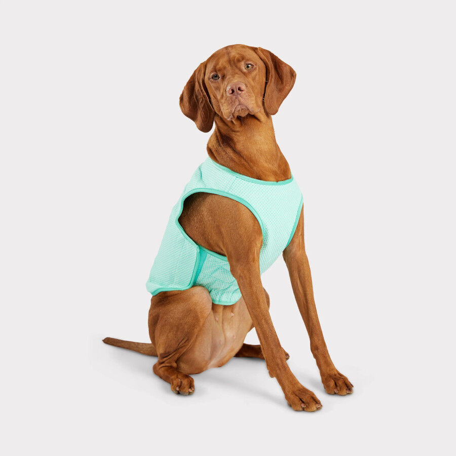 GF Pet ElastoFit Ice Vest Chaleco Refrescante para perros, , large indicador imagen numero 3