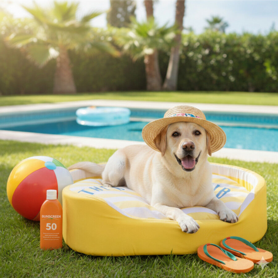Summer Vibes Cama Refrescante Rayas Amarillo para perros, , large indicador imagen numero 1