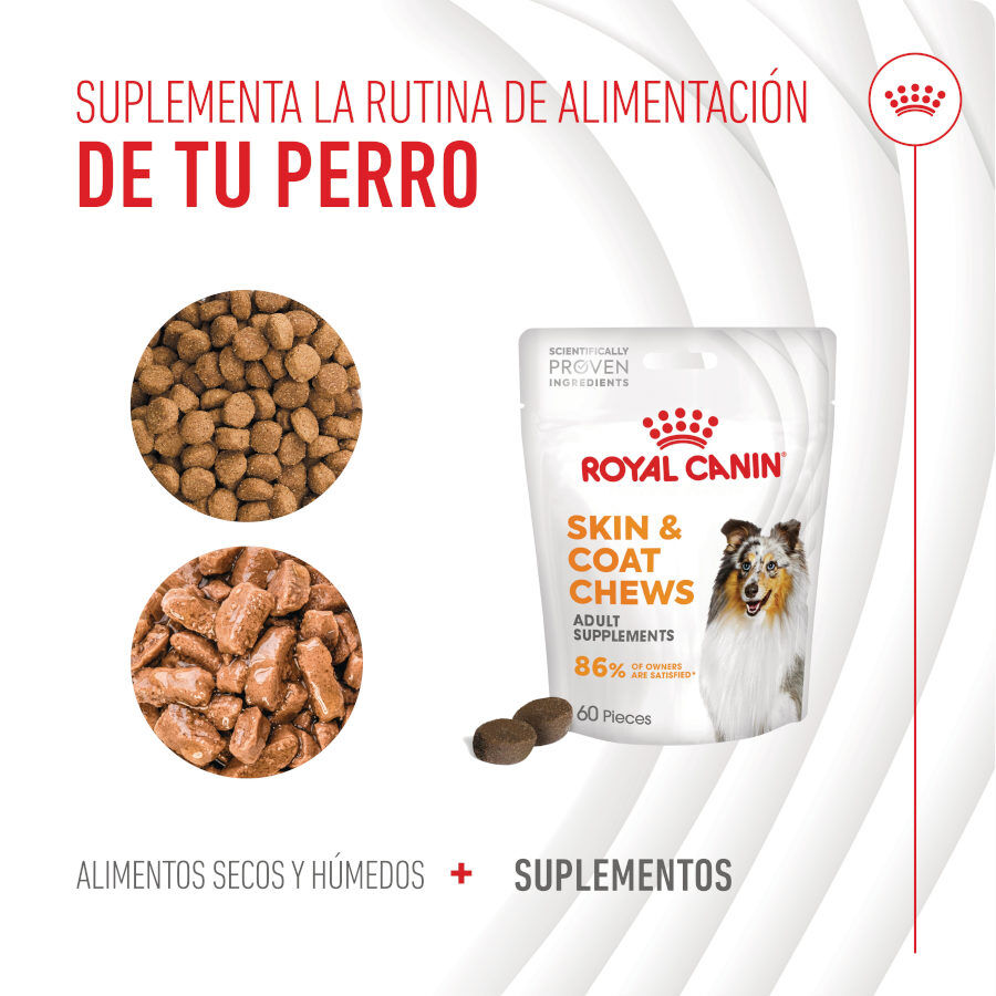 240 g Royal Canin Skin & Coat Chews Adult Suplemento nutricional para perros, , large Imagen numero 9