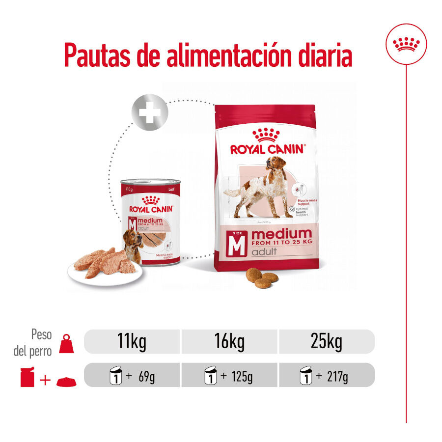 410 g Royal Canin Medium Adult Pat&eacute; lata para perros, , large Imagen numero 6