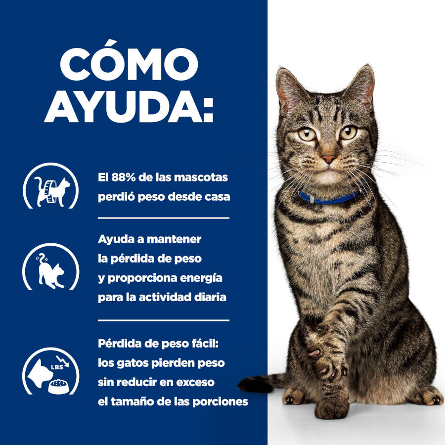 12 sobres x 85 g Hill's Prescription Diet Metabolic Feline pouches para gato , , large indicador imagen numero 10