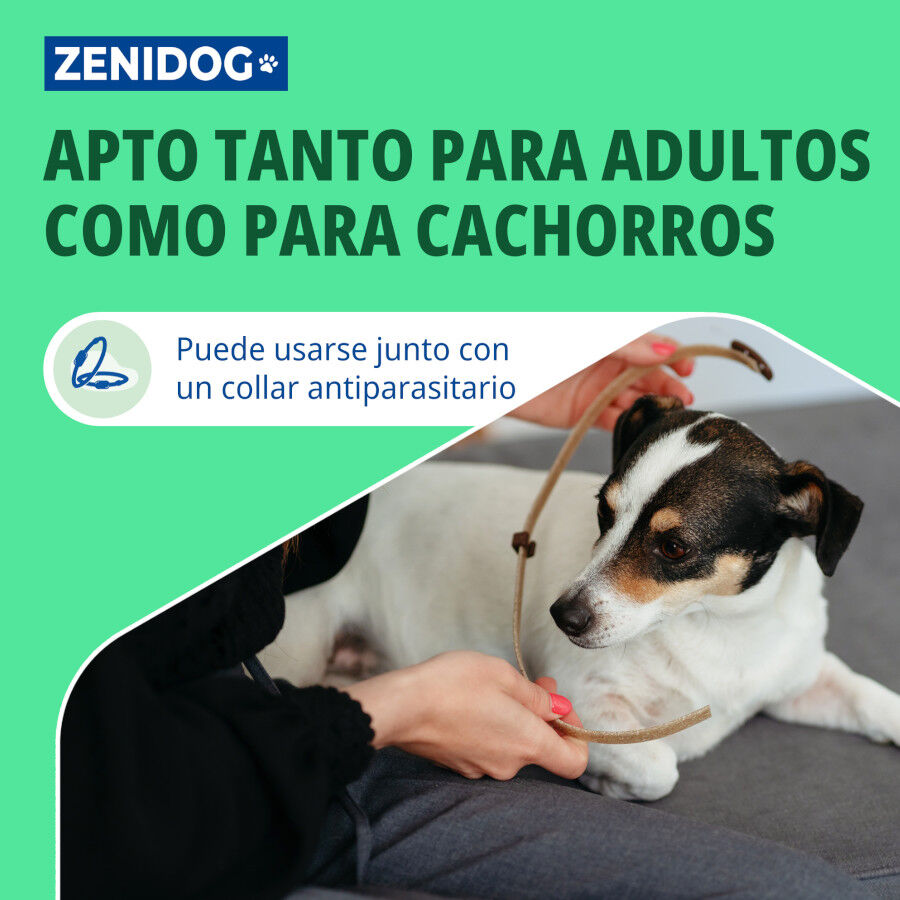 Virbac Zenidog Collar Calmante para cachorros y perros peque&ntilde;os, , large indicador imagen numero 5