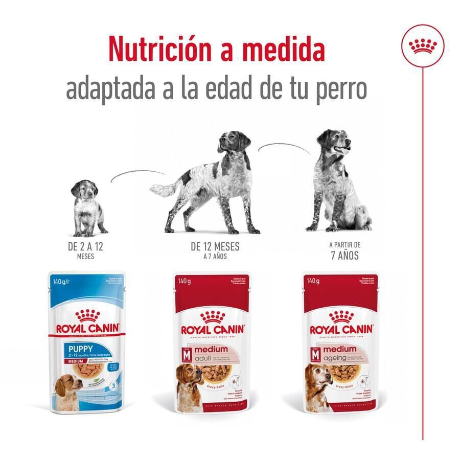 140 g Royal Canin Medium Adult Sobre en salsa para perros, , large indicador imagen numero 5