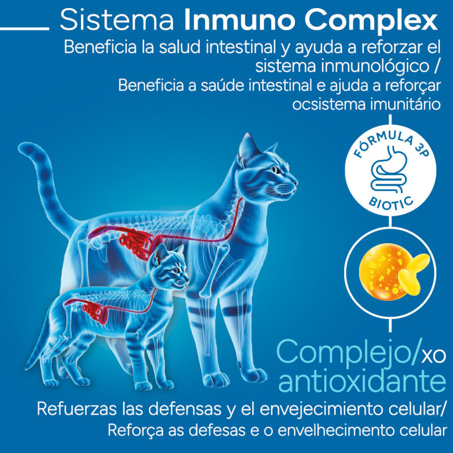 2 kg Criadores Cient&iacute;fico Mother & Baby Cat pollo pienso para gatos, , large Imagen numero 3