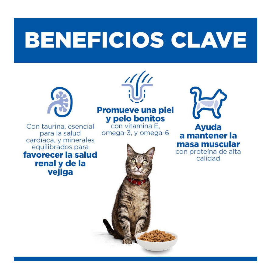 10 kg Hill's Science Plan Adult Pienso Salm&oacute;n para gatos, , large Imagen numero 5