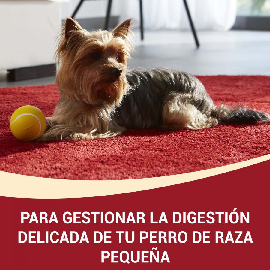 1.5 kg Purina One Adult Mini Bifensis Sensitive Salm&oacute;n y Arroz pienso para perros, , large Imagen numero 2