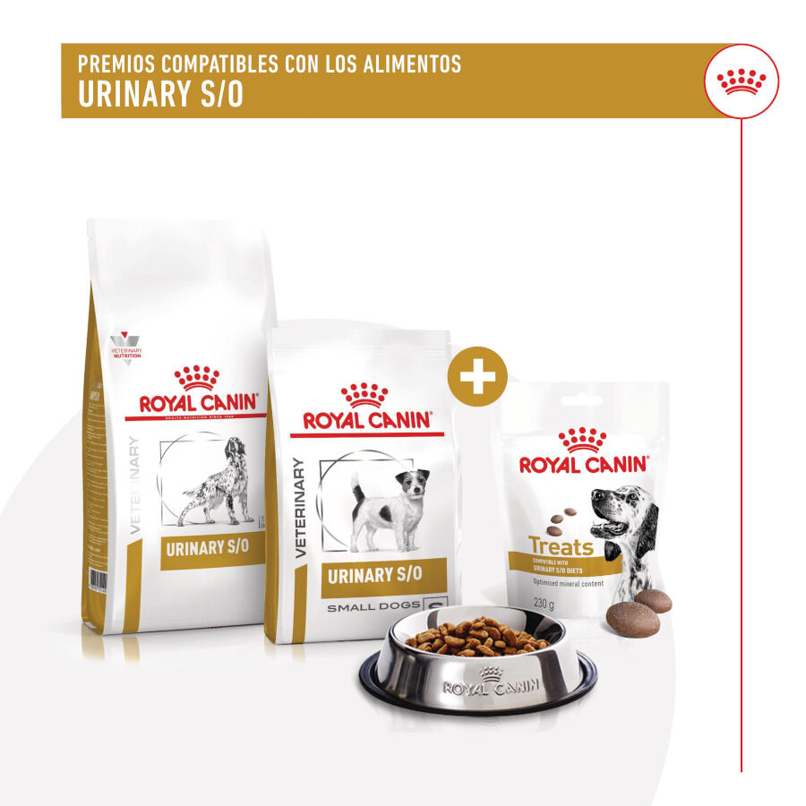 230 g Royal Canin Treats Urinary Snacks para perros, , large Imagen numero 8