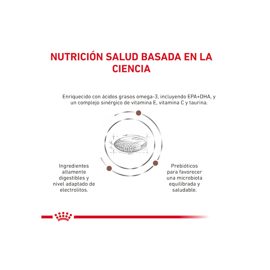 8 kg Royal Canin GastroIntestinal Low Fat pienso para perros peque&ntilde;os, , large indicador imagen numero 3