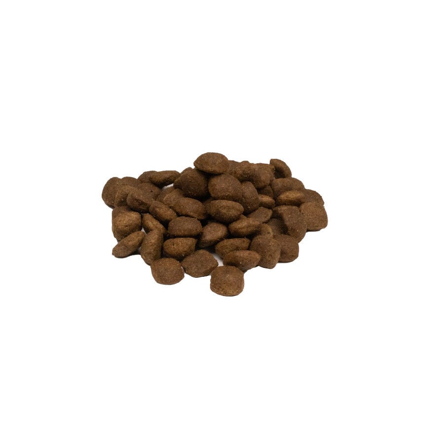 2 kg Weego Grain Free Light Gourmet Pavo pienso para perros&nbsp;, , large indicador imagen numero 2