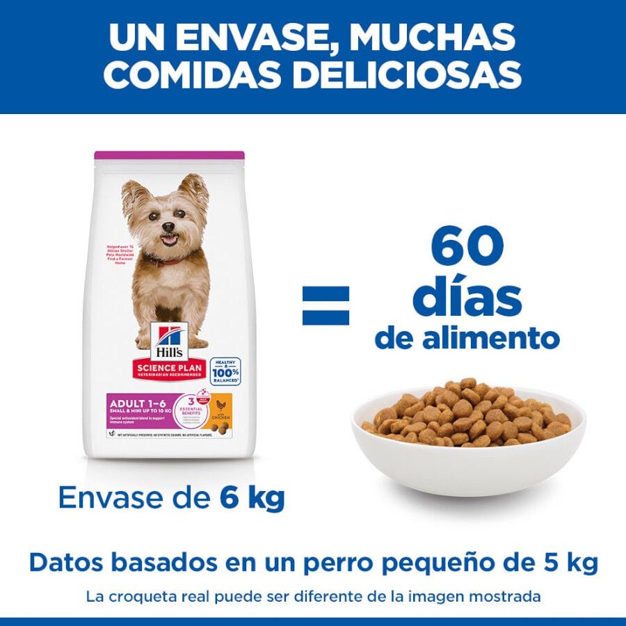 10 kg Hill's Science Plan Adult Small y Mini Pollo pienso para perros, , large indicador imagen numero 6