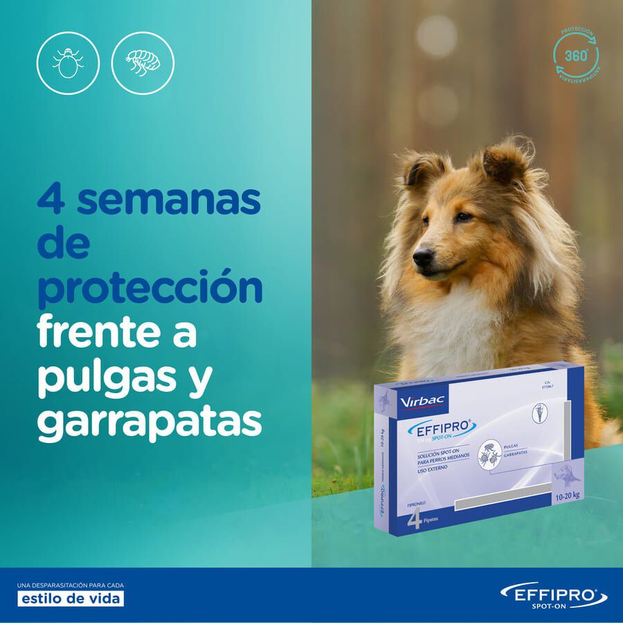 Effipro pipetas antipar&aacute;sitos perros 40-60 kg, , large indicador imagen numero 3