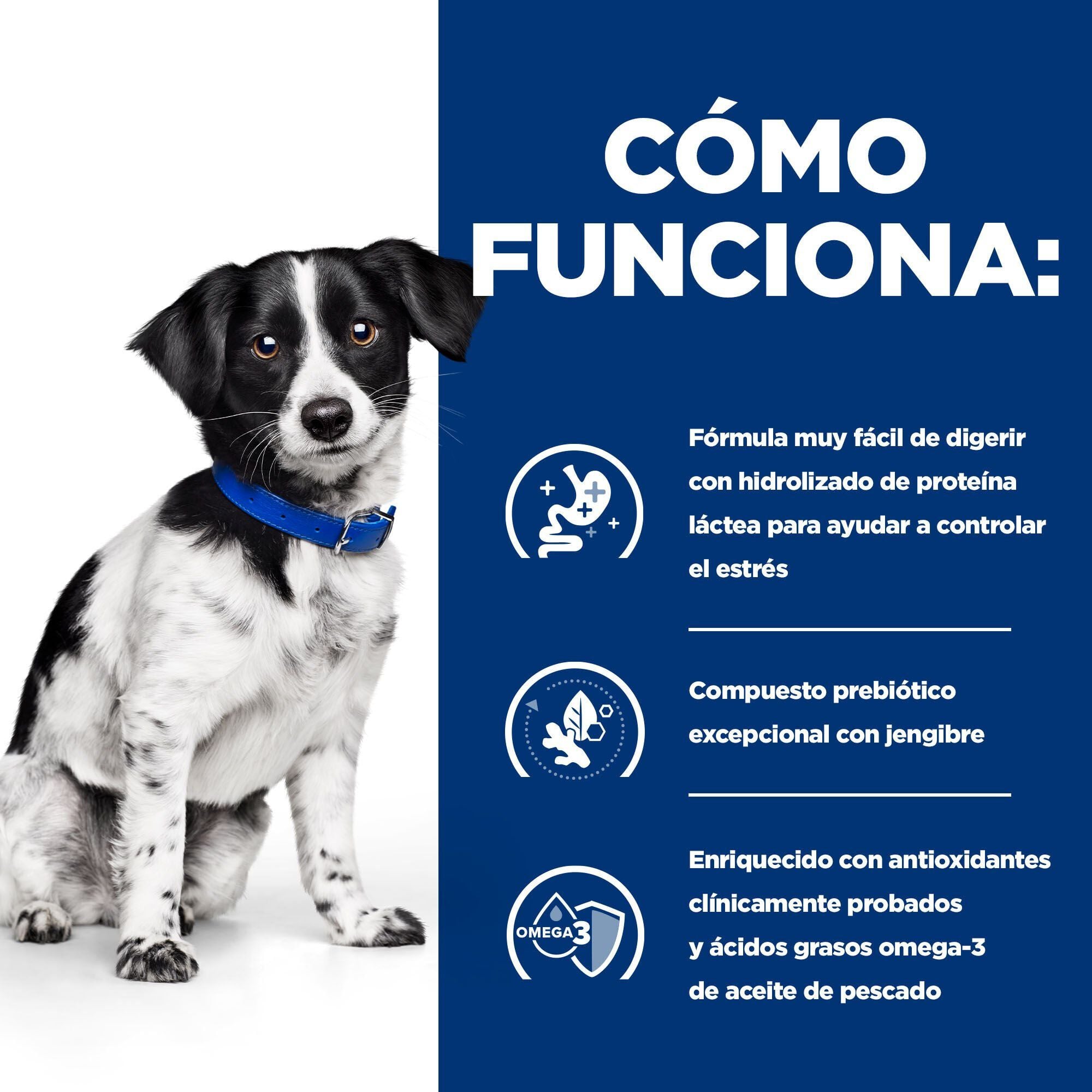 6 kg Hill's Prescription Diet Mini Digestive Care Stress i/d pienso para perros, , large Imagen numero 3