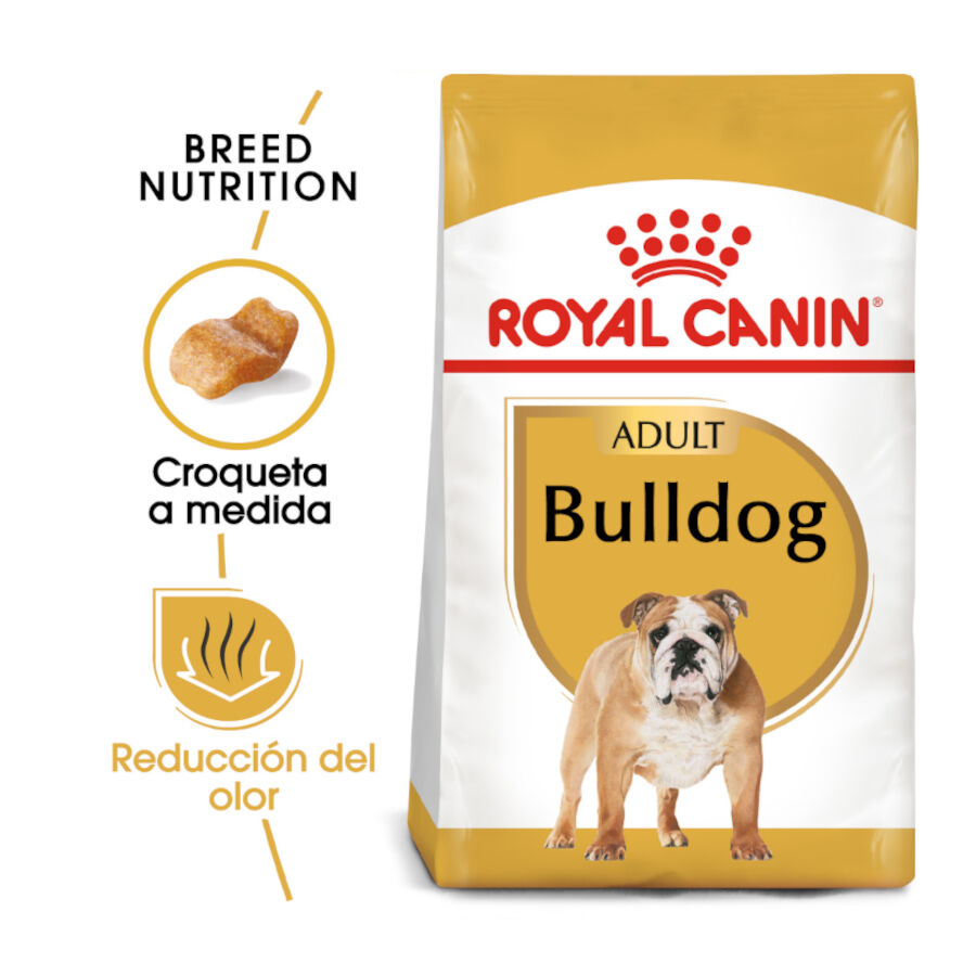 12 kg Royal Canin Adult Bulldog pienso para perros, , large indicador imagen numero 2