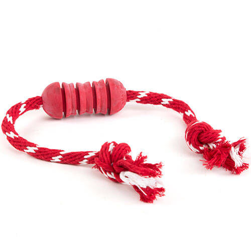 Kong Dental juguete con cuerda para perros Imagen numero 1