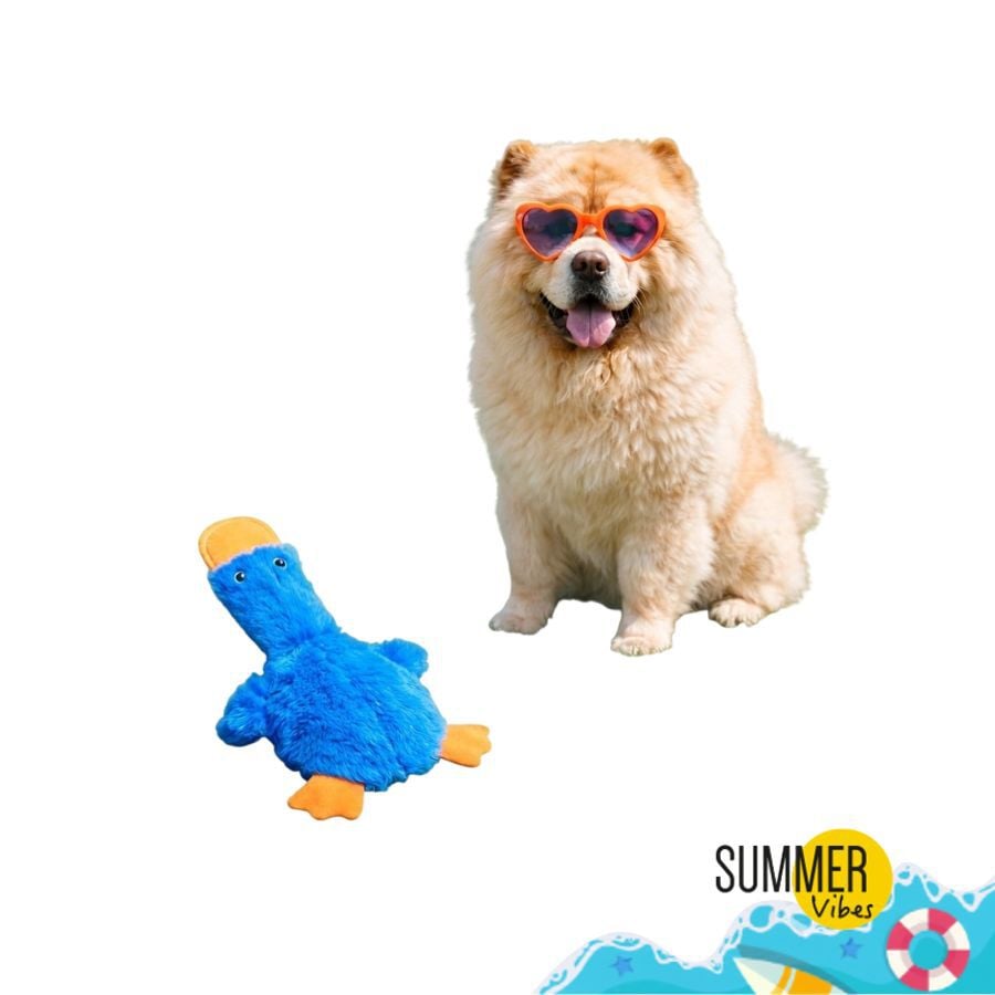 Summer Vibes Pato Dolce Vita Peluche Juguete para perros