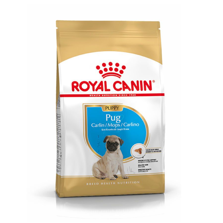 1.5 kg Royal Canin Puppy Pug pienso para perros, , large indicador imagen numero 1