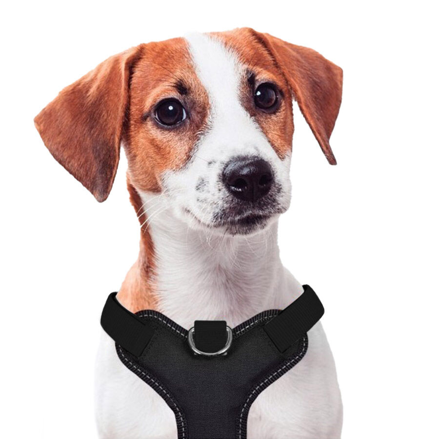 X-TRM Cronos Neon Flash Arn&eacute;s Negro para perros, , large Imagen numero 2