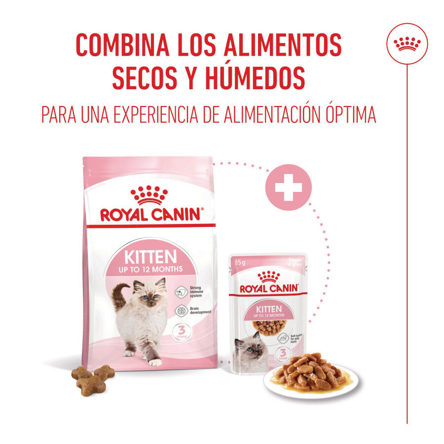 4 kg Royal Canin Kitten pienso para gatos, , large indicador imagen numero 11