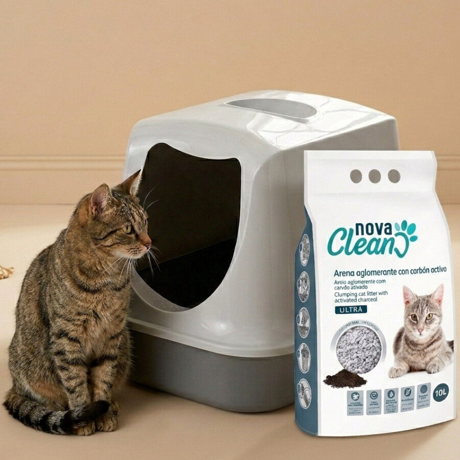 10 L Nova Clean Ultra Lecho Aglomerante Carb&oacute;n para gatos, , large indicador imagen numero 2