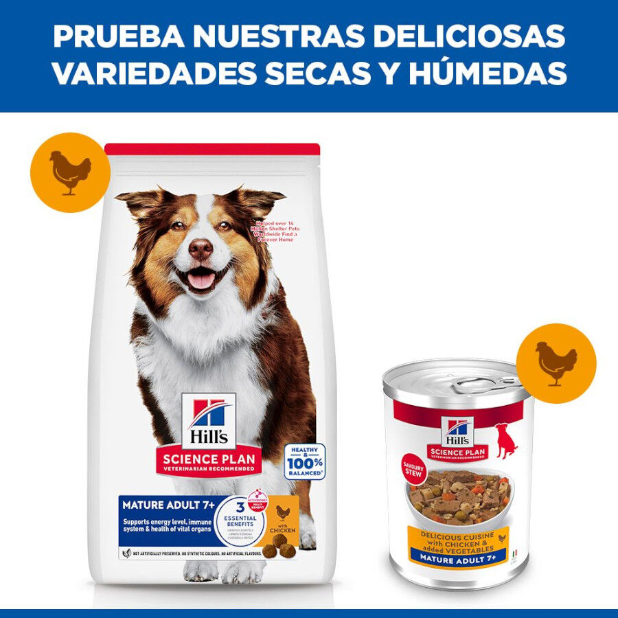 363 g Hill's Science Plan Mature Estofado con pollo y verduras lata para perros, , large indicador imagen numero 5