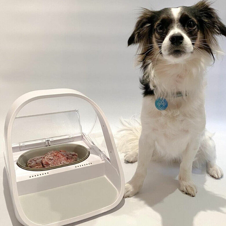 Sure Petcare Surefeed Comedero Autom&aacute;tico con Microchip, , large Imagen numero 6