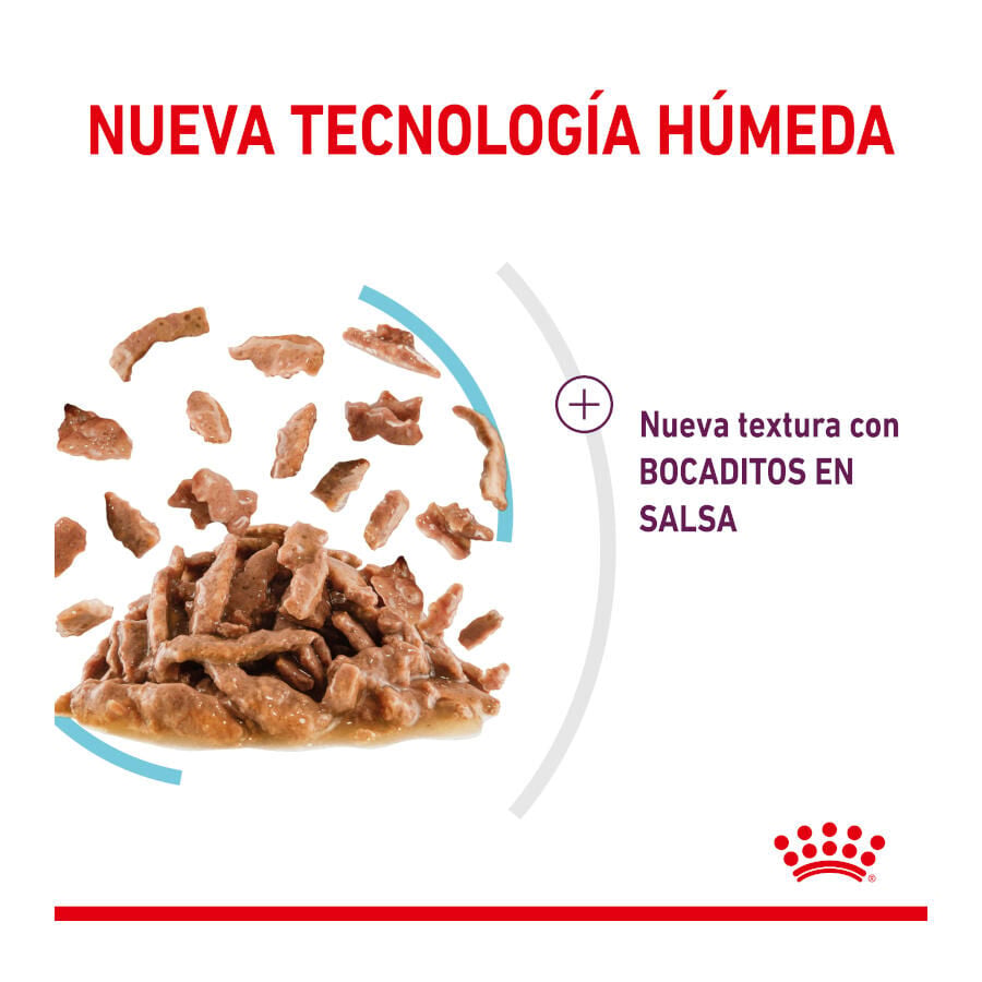 85 g Royal Canin Adult Sensory Feel salsa sobre para gatos, , large Imagen numero 3