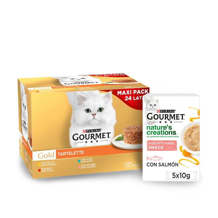 Pack Comida H&uacute;meda Tartelette Gato Adulto Gourmet