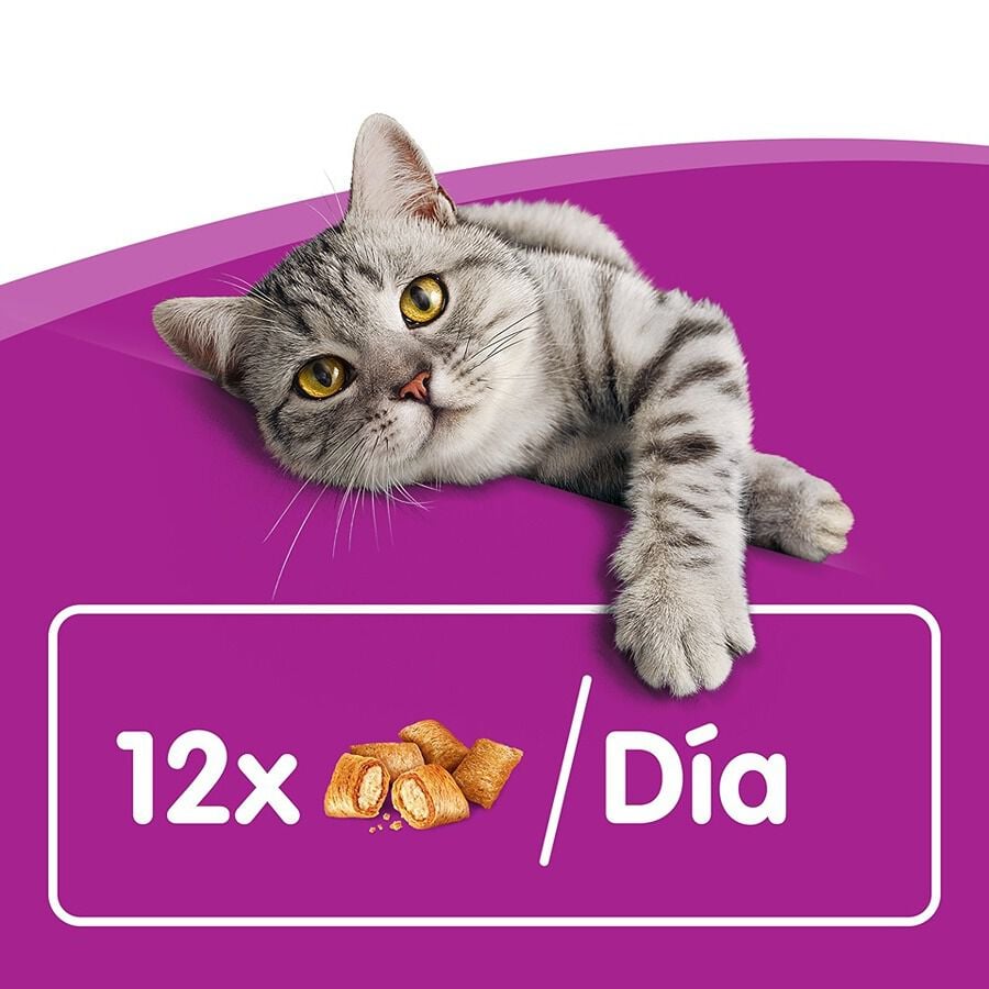 60 g Whiskas Temptations Snacks Salm&oacute;n para Gatos, , large indicador imagen numero 6