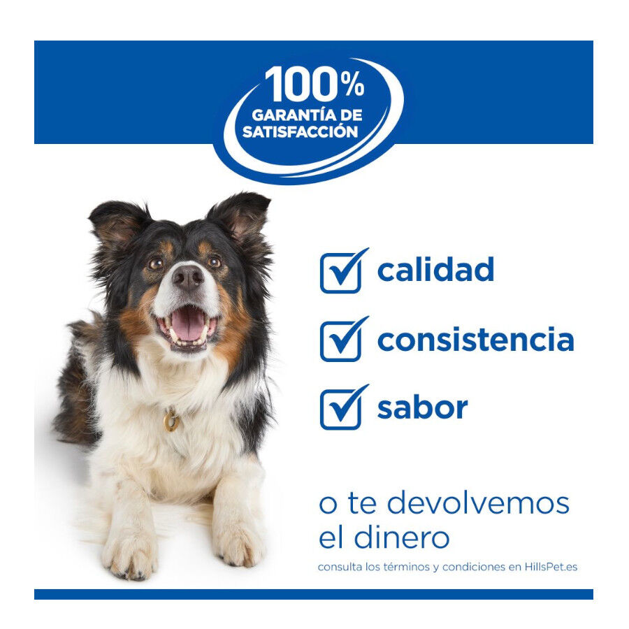 14 kg Hill's Science Plan Adult Medium Pollo pienso para perros, , large indicador imagen numero 11