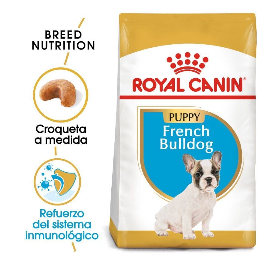 10 kg Royal Canin Puppy French Bulldog pienso para perros, , large indicador imagen numero 2