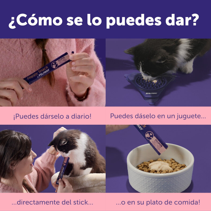 24 barritas Feliway Ceva Happy Snack Salm&oacute;n para gatos, , large indicador imagen numero 6
