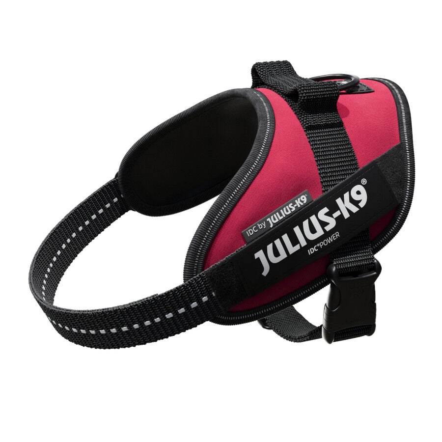 Julius K-9 IDC Arn&eacute;s Magenta para perros, , large indicador imagen numero 1