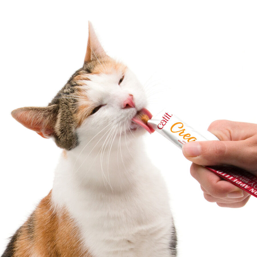 4 sobres x 10 g Catit Creamy Snack L&iacute;quido de Pollo, Cordero para gatos, , large indicador imagen numero 3