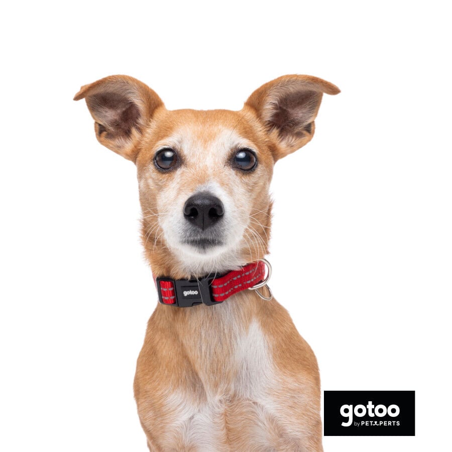 Gotoo Collar de nylon reflectante rojo para perro, , large indicador imagen numero 4