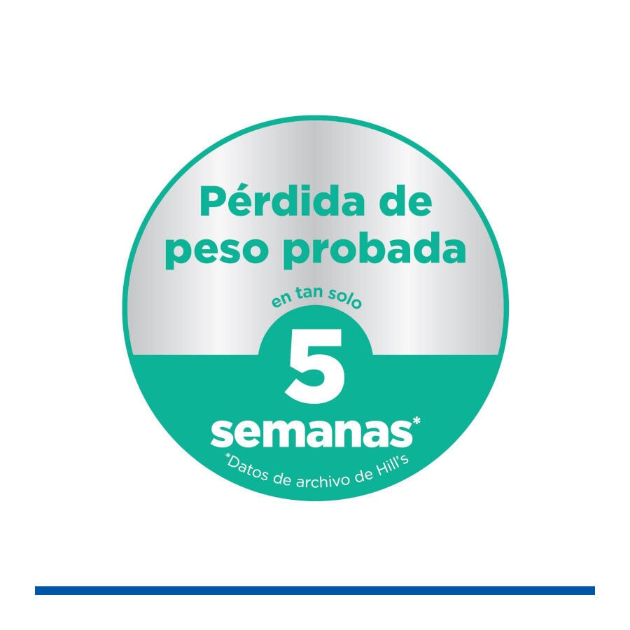 12 kg Hill's Science Plan Perfect weight y Active Mobility pollo pienso para perros grandes, , large Imagen numero 6